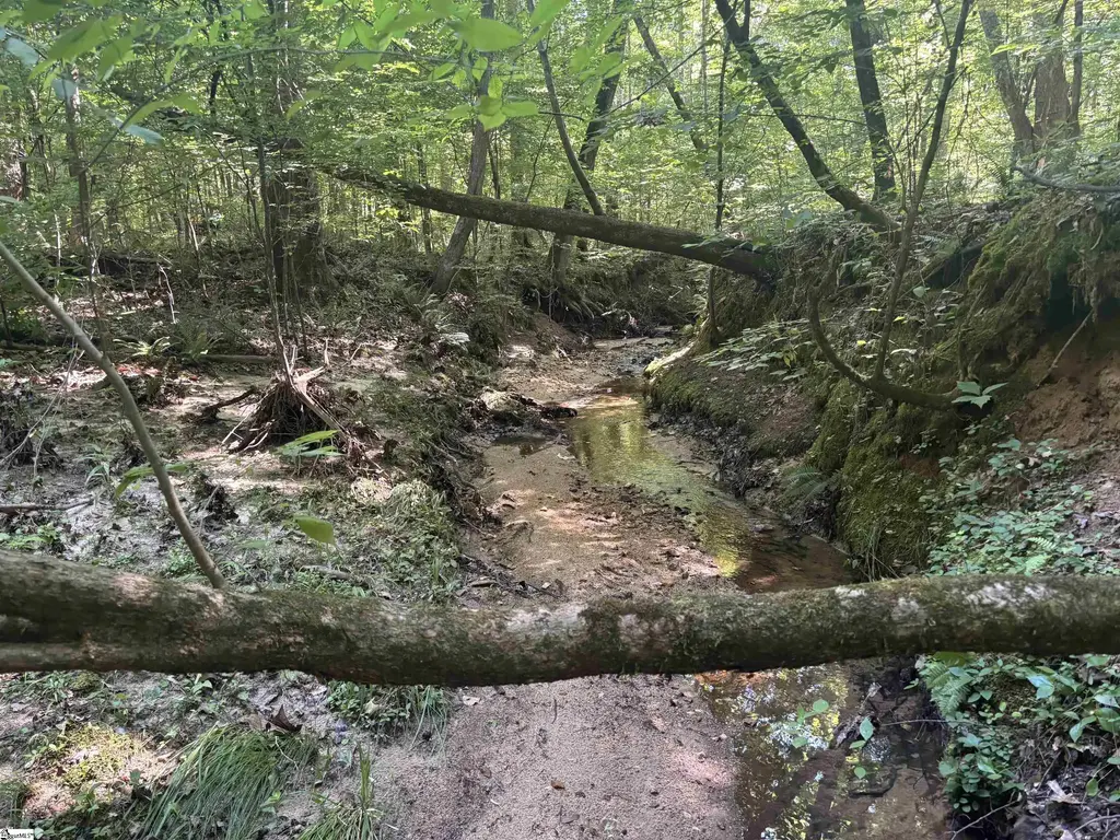 Old Calhoun Falls Road, Abbeville
