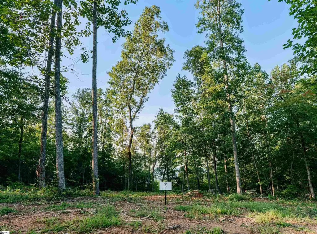 200 Chestnut Mountain Road Lot 7, Travelers Rest