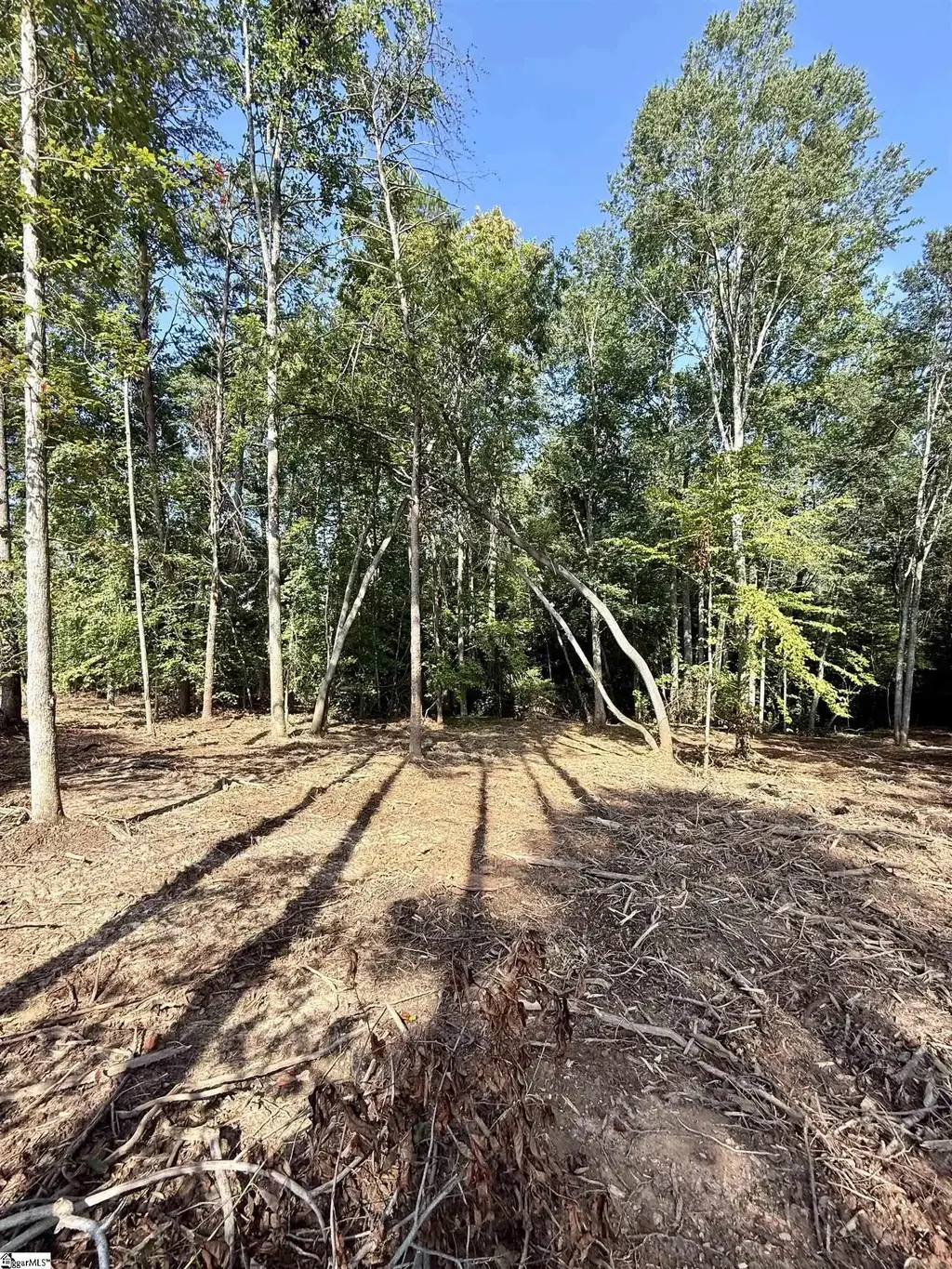 Thompson Road Lot 3, Greer
