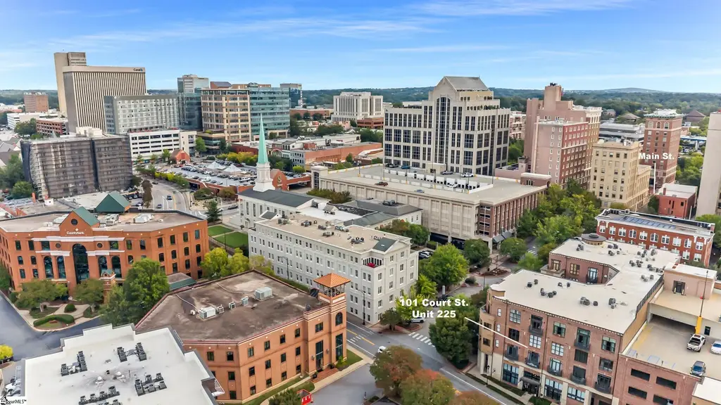 101 W Court Street Unit 225, Greenville