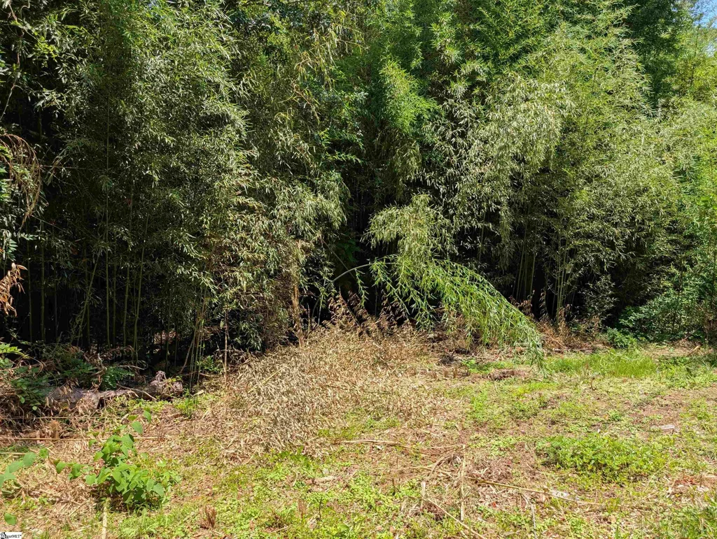 Olive Street, Easley