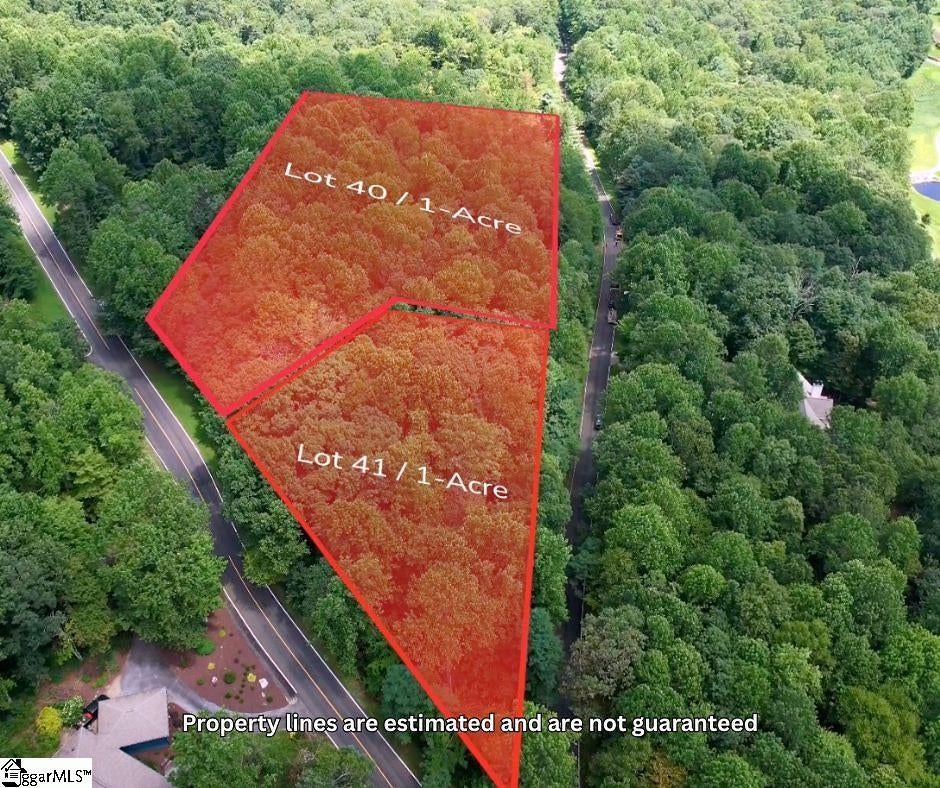 00 Snap Dragon Way Lot 41, Landrum