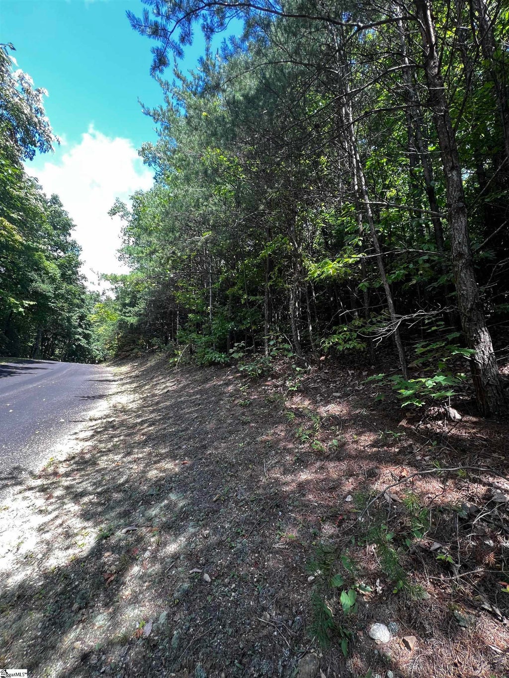 18 High Cliffe Way, Landrum