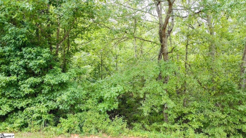 00 Country Glen Lane, Pelzer