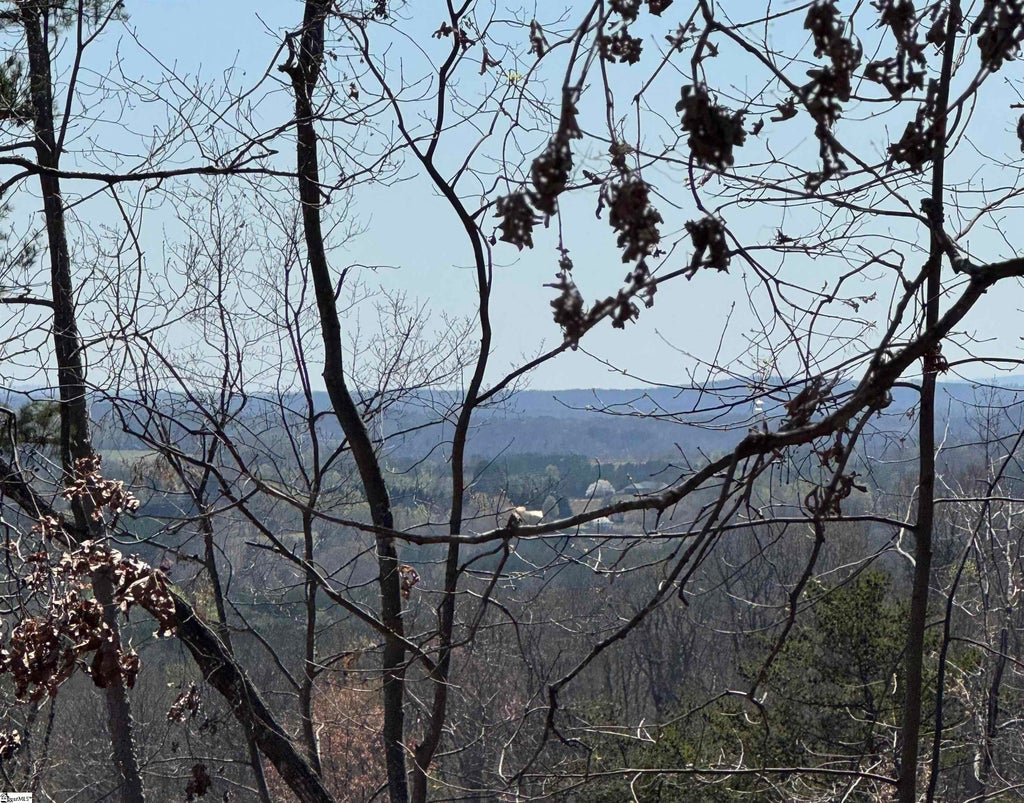 32497 Goforth Road, Landrum