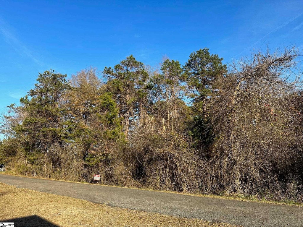 Blue Bird Hill Drive, Chesnee