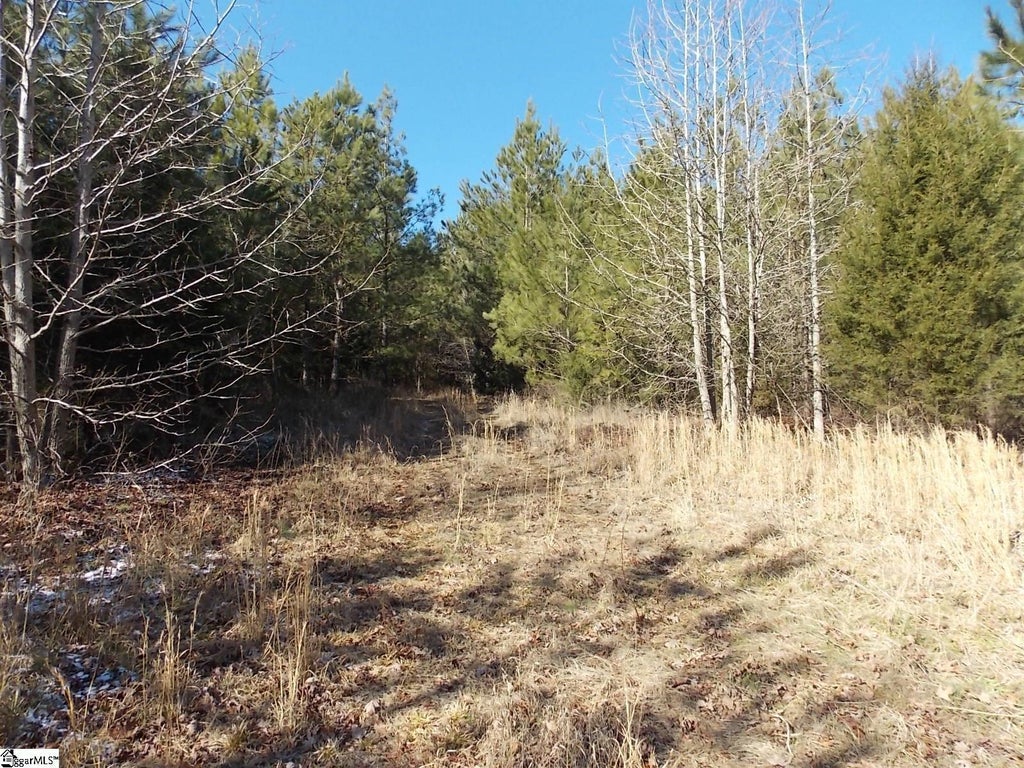 00 Carrington Lane, Starr