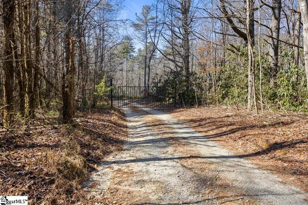 3772 Bear Paw Ridge Road, Zirconia