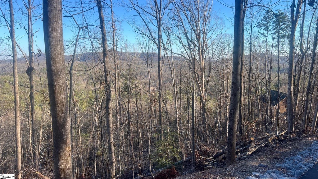 109 Stone Creek Court, Pickens