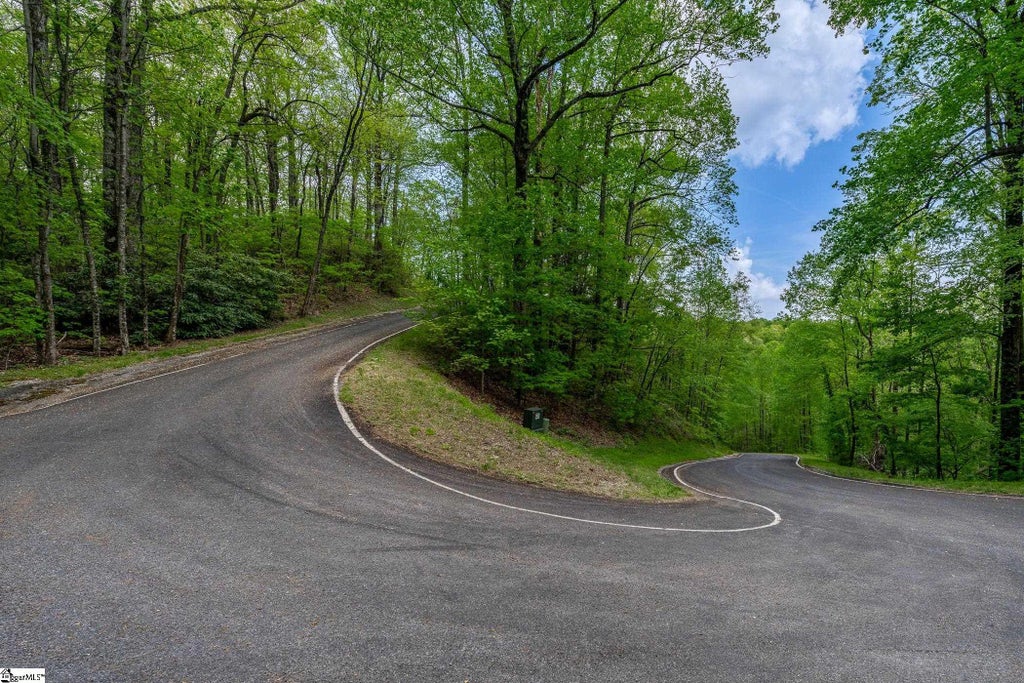 20 Falling Star Way, Landrum