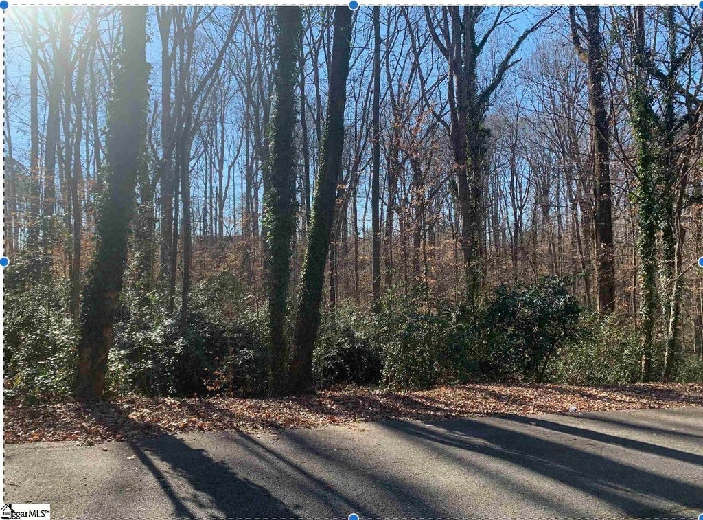 Forest Lane Drive, Gaffney