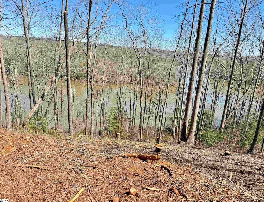 712 Buck Creek Road, Chesnee