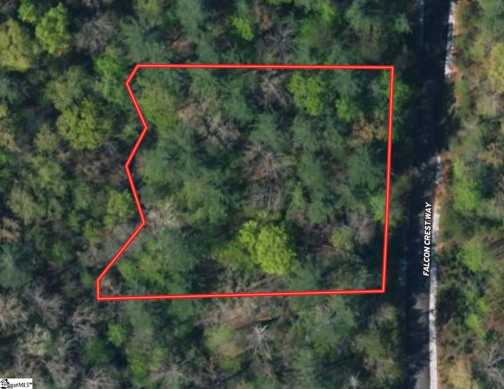 305 Falcon Crest Way, Pickens