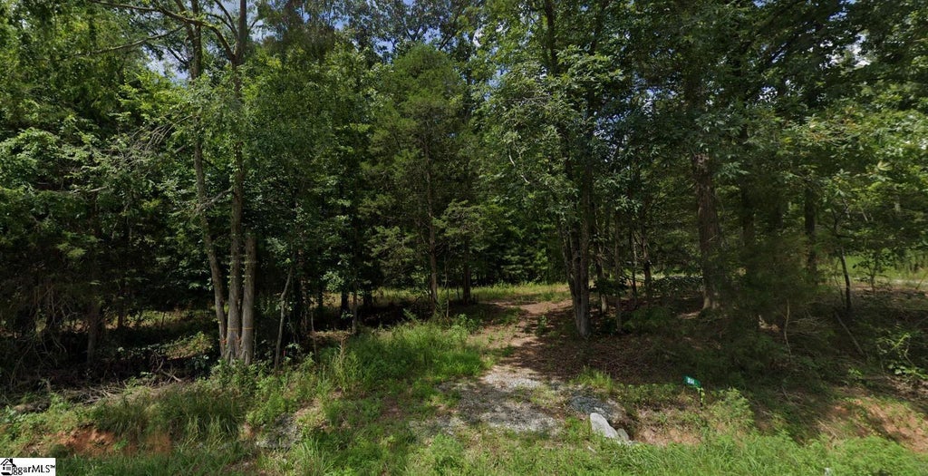 514 Pinehaven Street Extension, Laurens