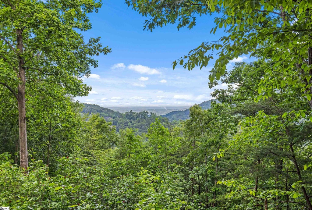 214 Craggy Rock Lane, Landrum