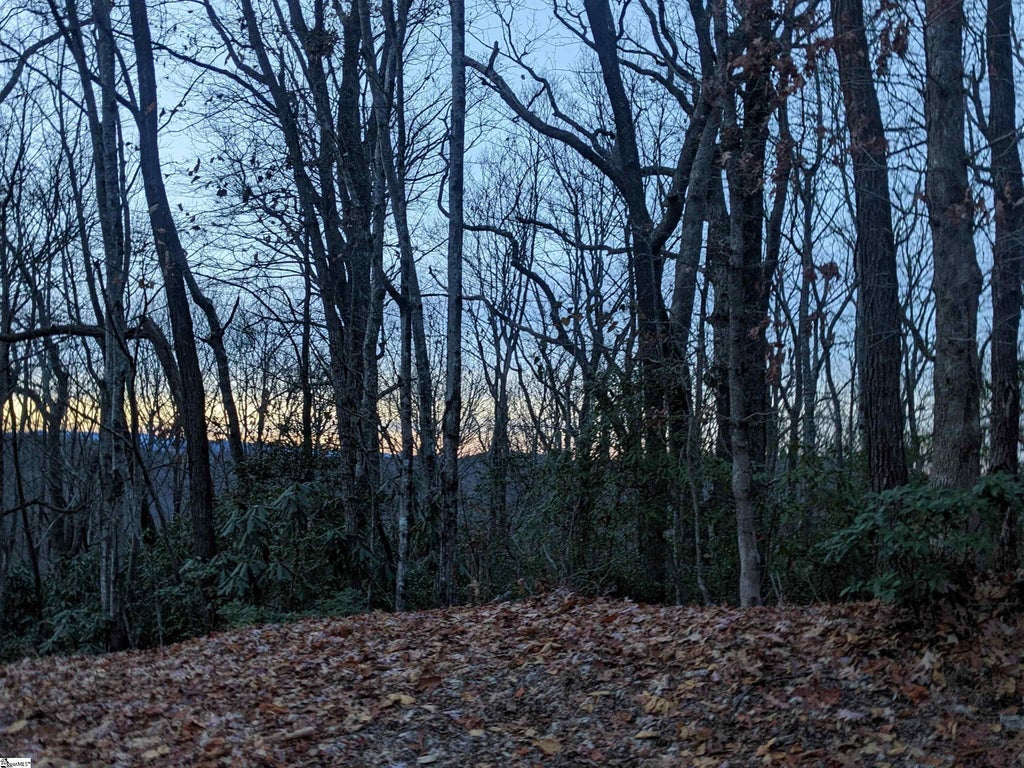 609 Cliff Ridge Drive, Cleveland