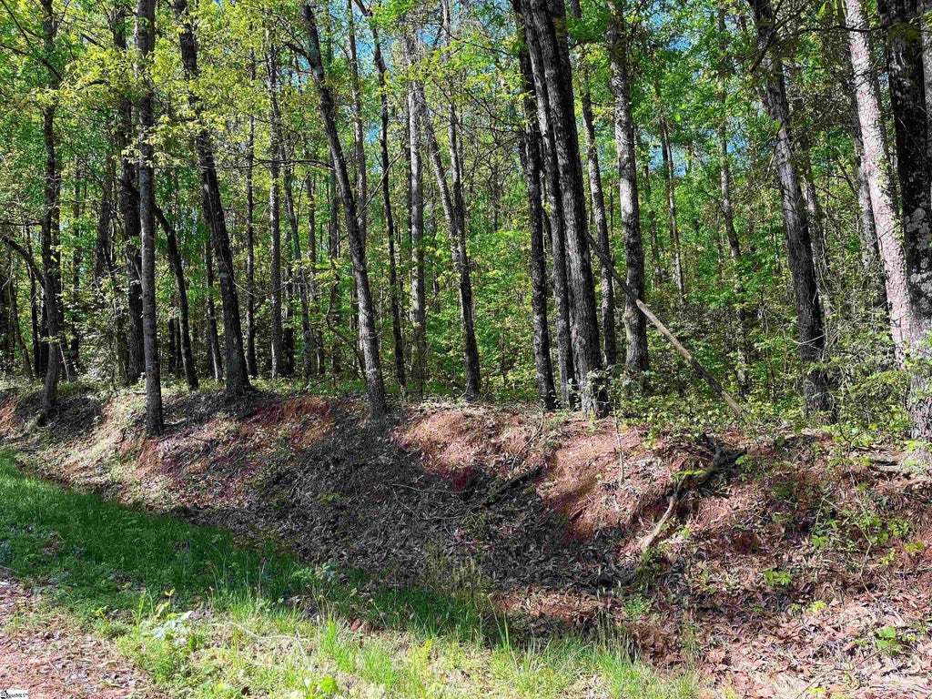 Simmons Street, Wellford