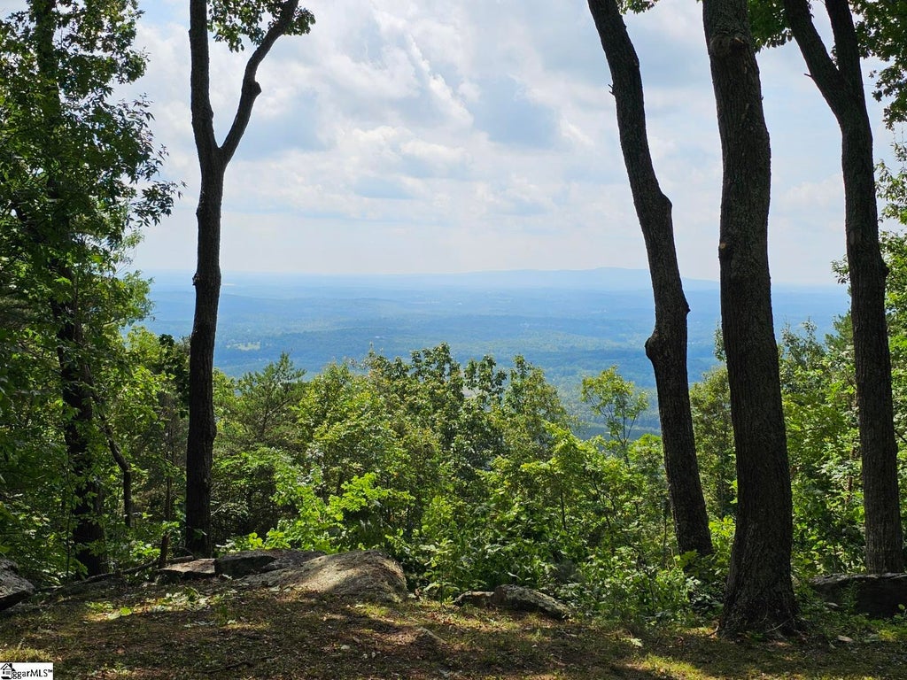 101 Southview Ledge Road, Landrum