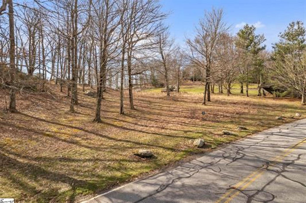 Glassy Ridge Road Lot 11, Landrum