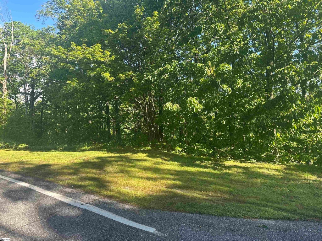 53 Harrier Lane, Landrum