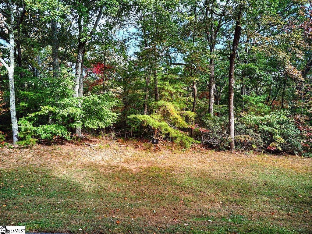 622 Plumley Summit Road, Landrum