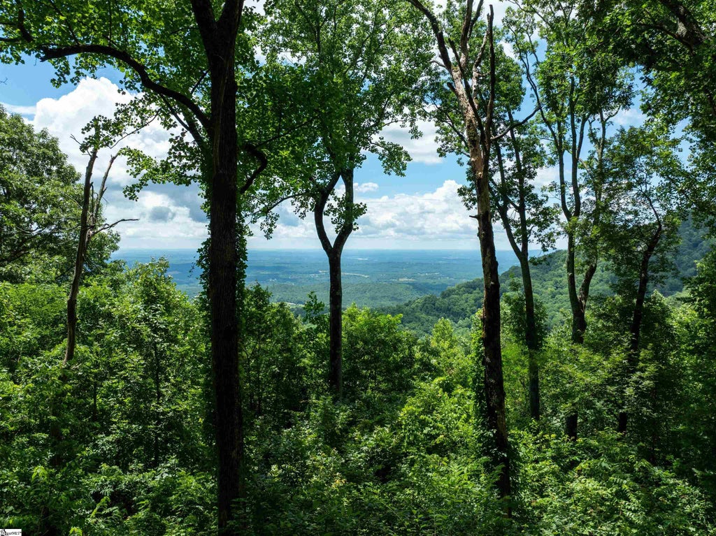 22 Raven Road, Landrum