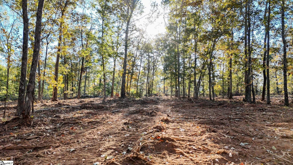 257 W Chapman Road, Belton