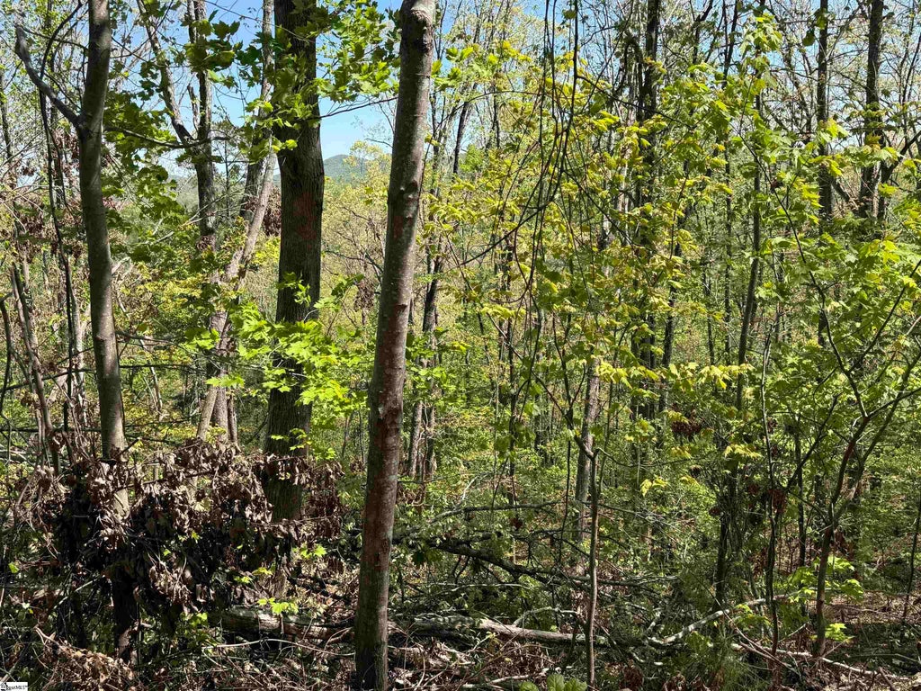 113 Stone Creek Court, Pickens