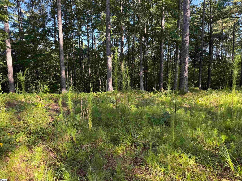 527 Brookgreen Trail, Salem