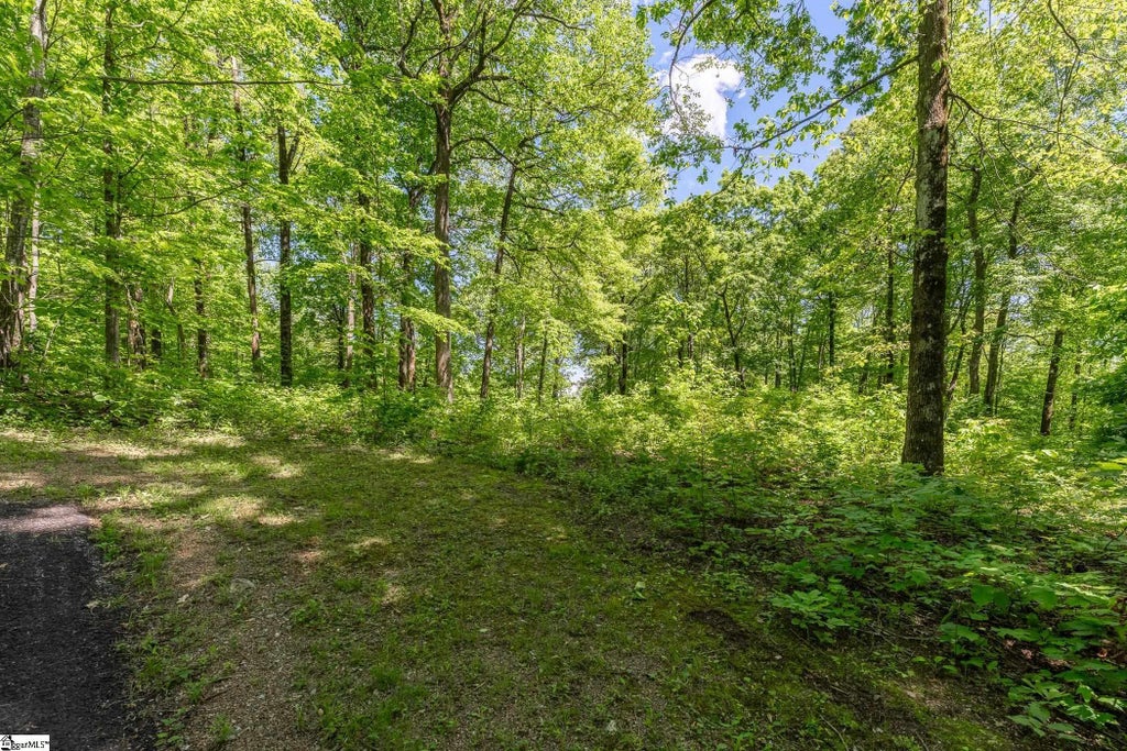 149 Lacey Fern Way, Landrum