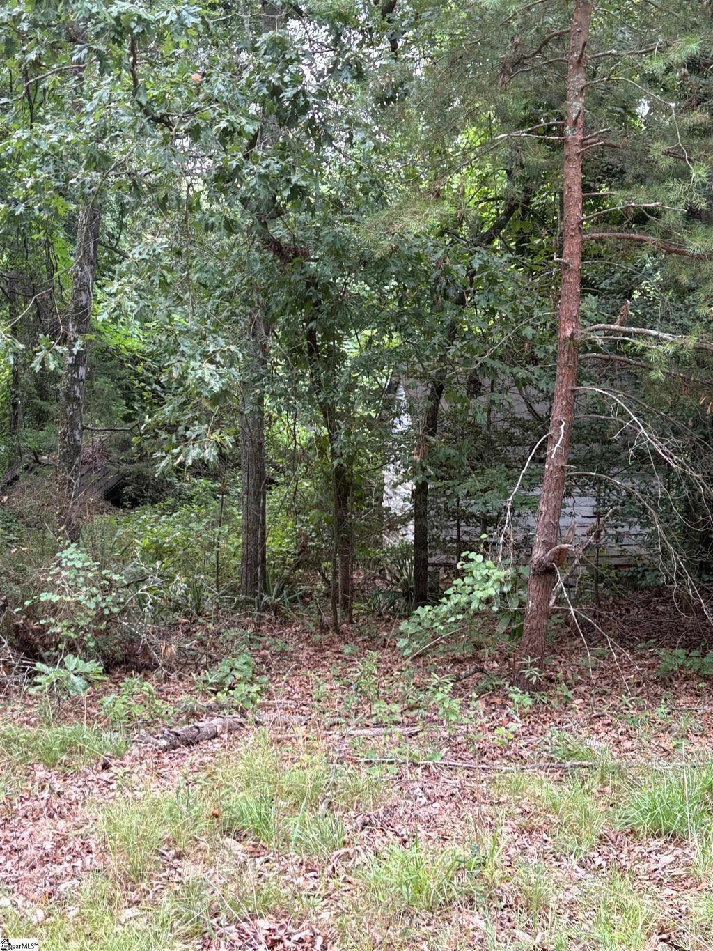 170 Railroad Street, Liberty