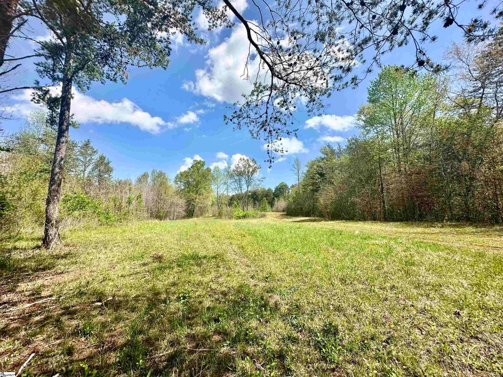 390 Old Mill Road, Chesnee