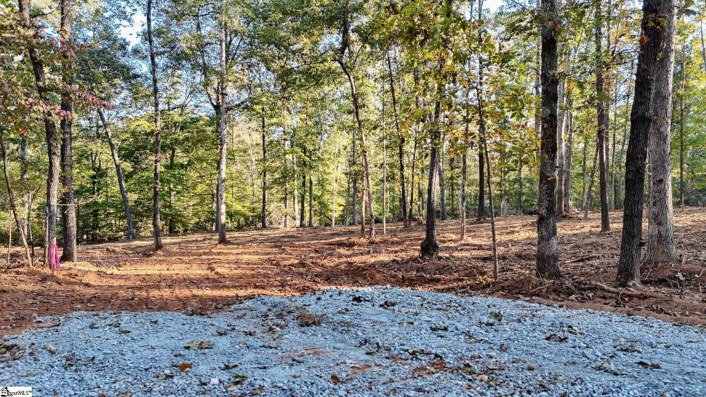 253 W Chapman Road, Belton