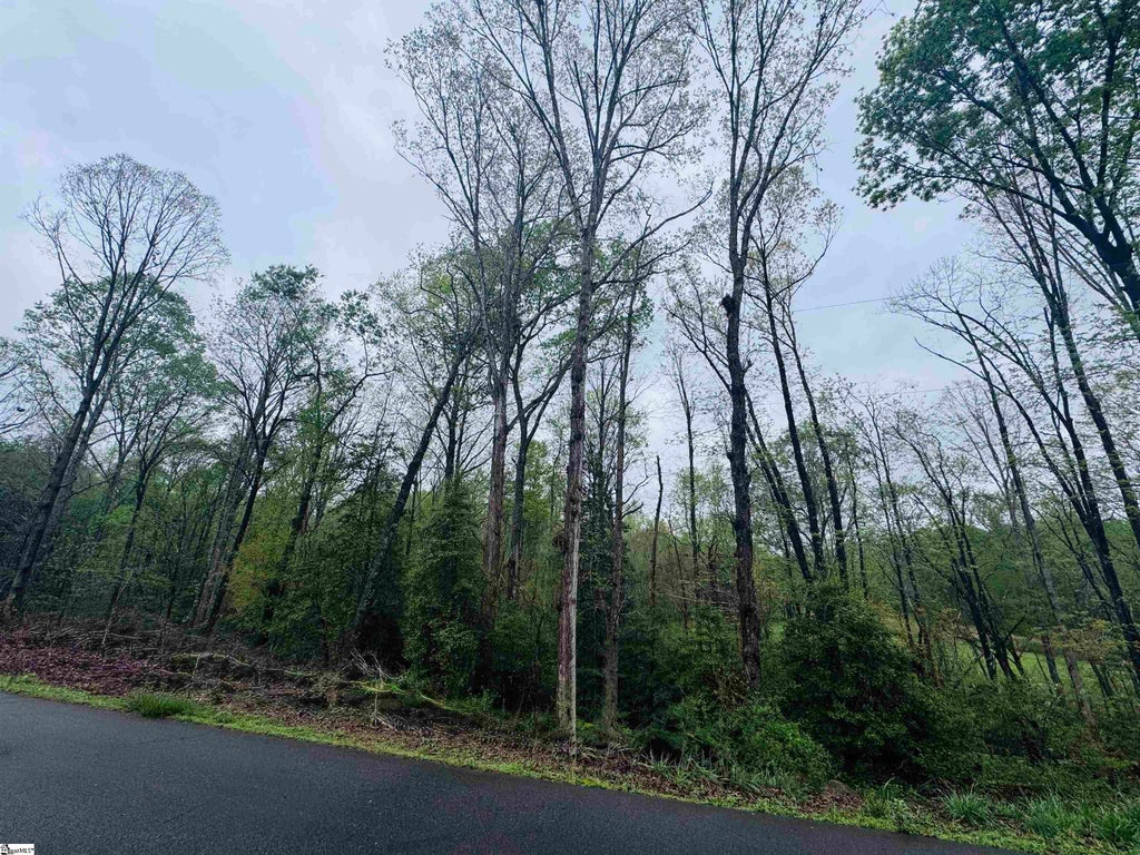 Country Glen Lane Lot 5b, Pelzer