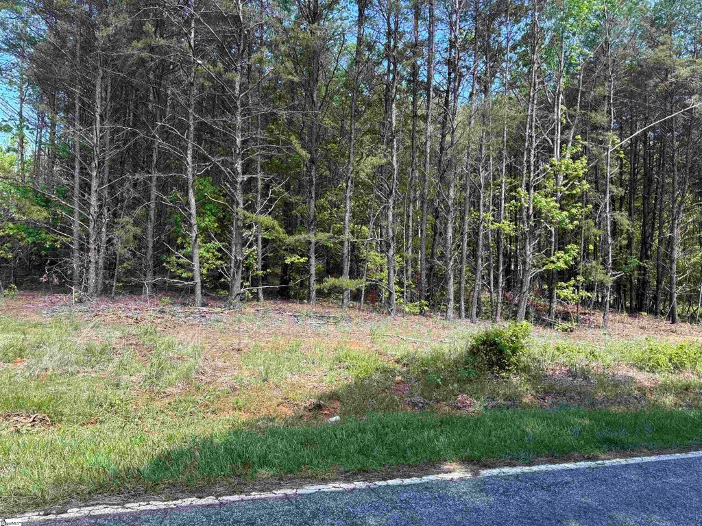 1940 Pleasant Hill Road Lot 3-b, Greer