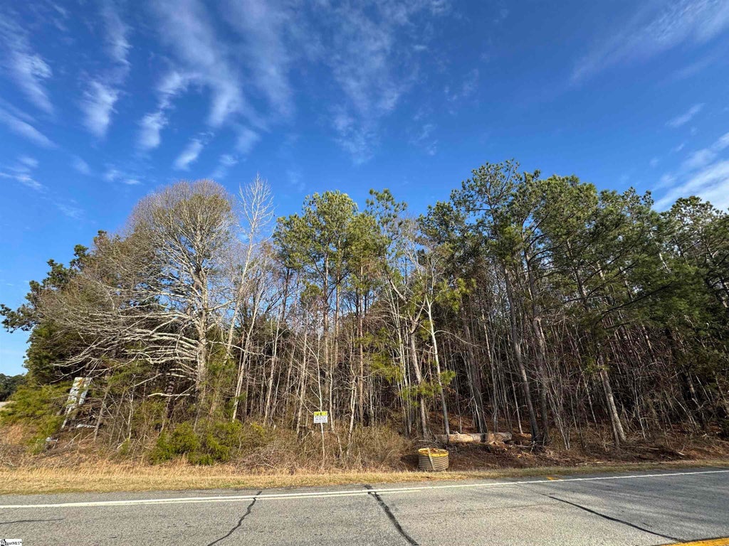 00 Whitmire Highway, Clinton