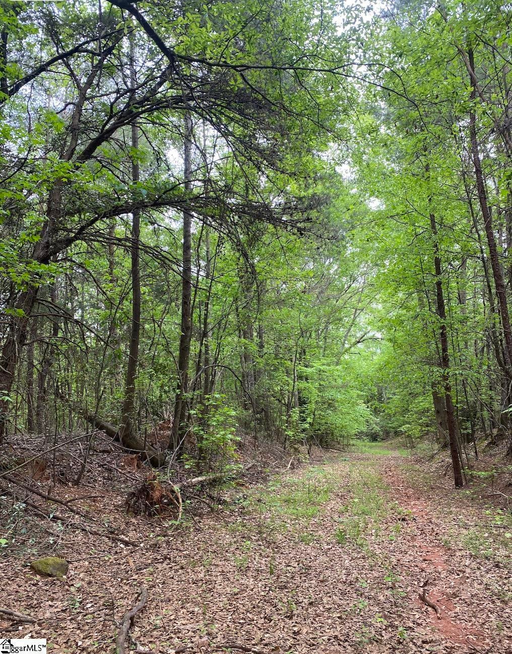 00 Wingo Road, Wellford