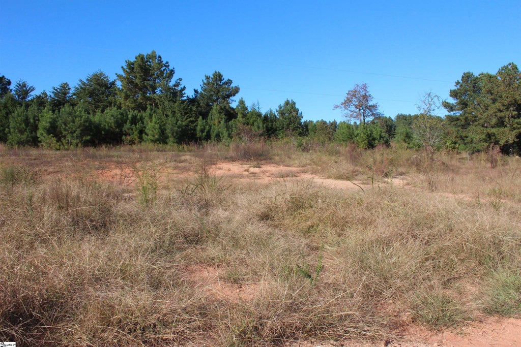 113 Lucille Drive, Gray Court