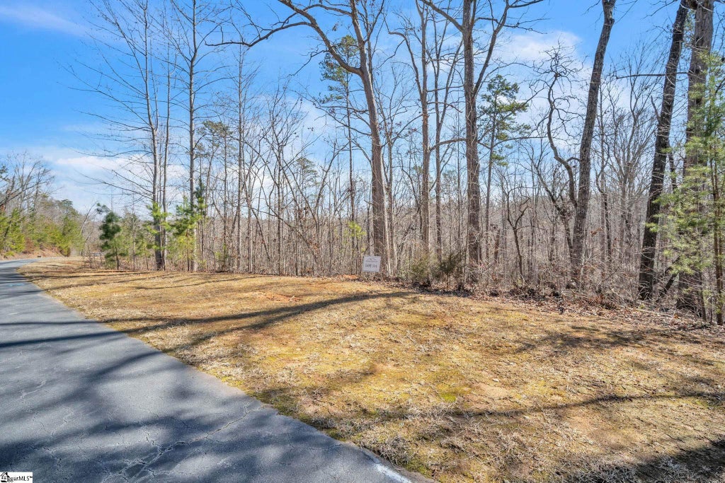 110 Gabriel Way, Pickens