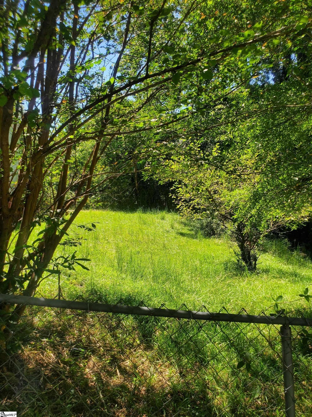 George Street, Spartanburg