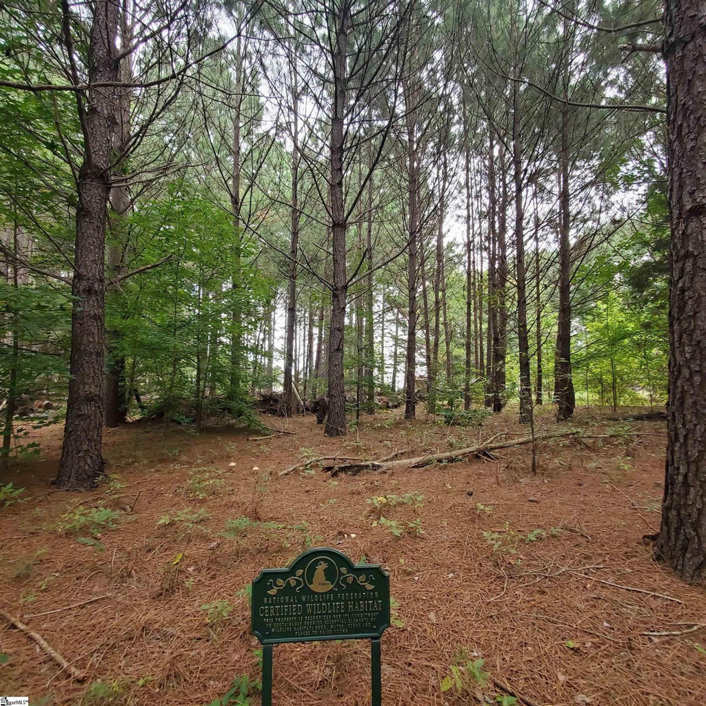 00 Easley Highway, Pelzer