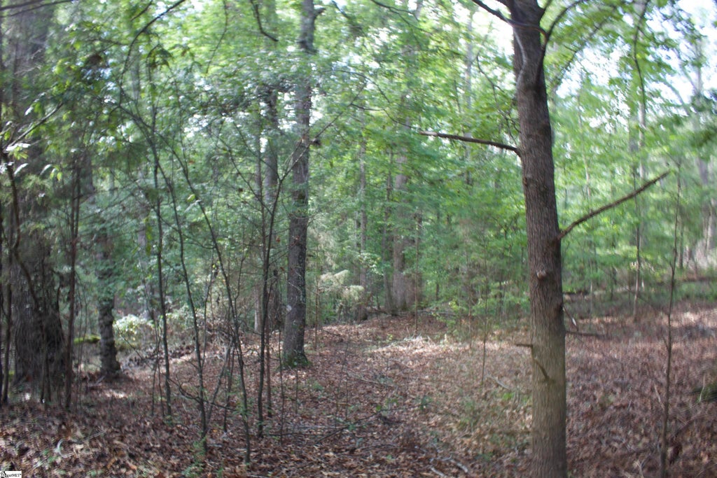 00 Hwy 101 South, Gray Court