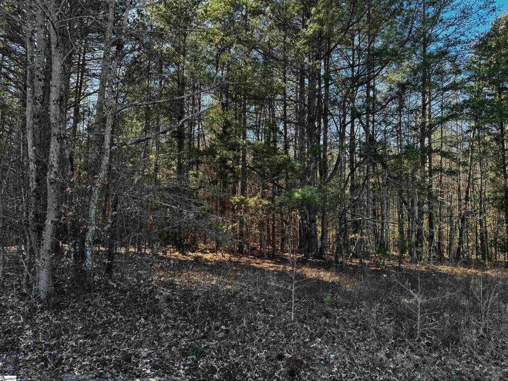 00 Corner Road, Belton