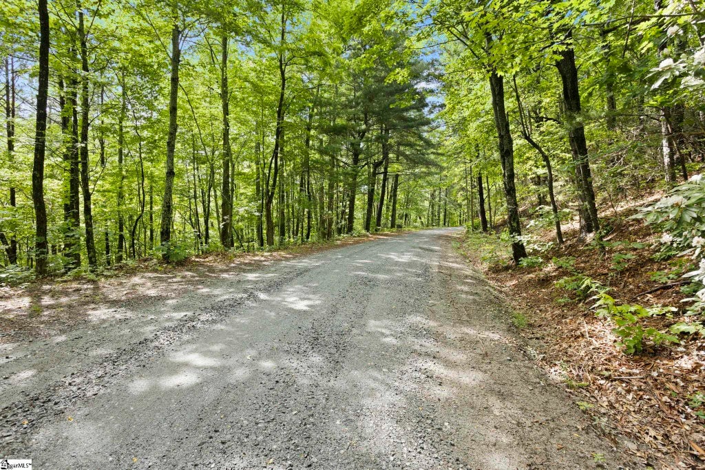 430 Lakeview Drive, Saluda