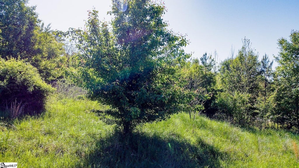 1003 Fallon Lane, Anderson