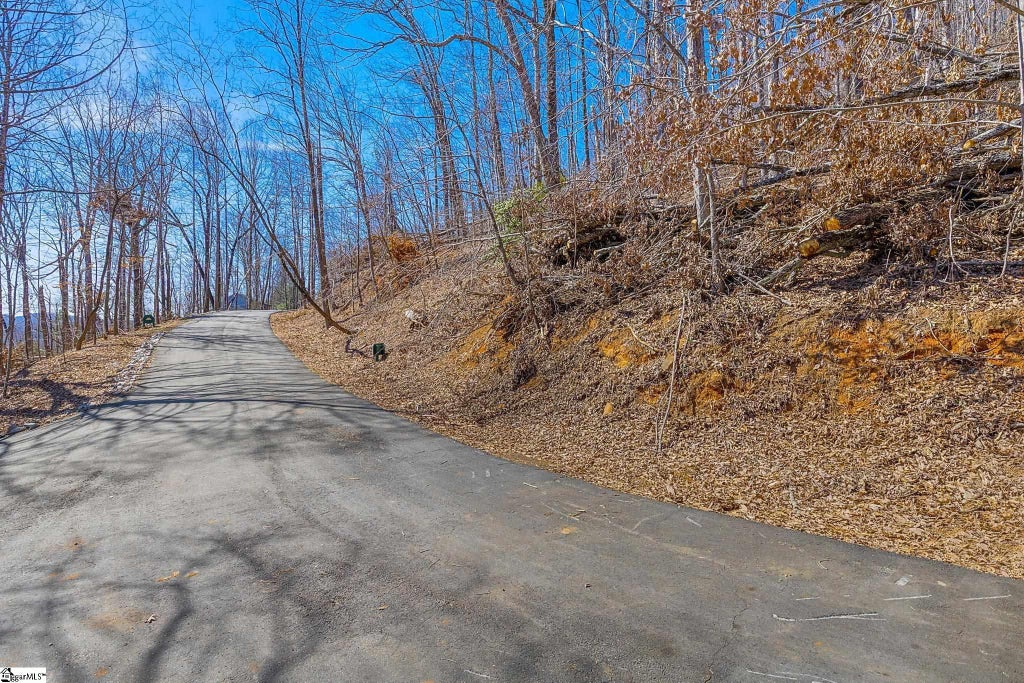 821 Whispering Falls Drive, Pickens