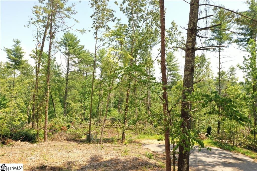 113 Sweetshrub Court, Sunset