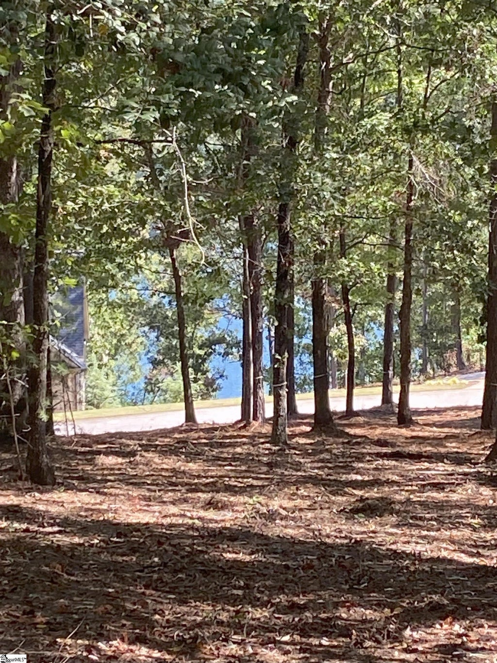 335 Long Cove Trail, Salem