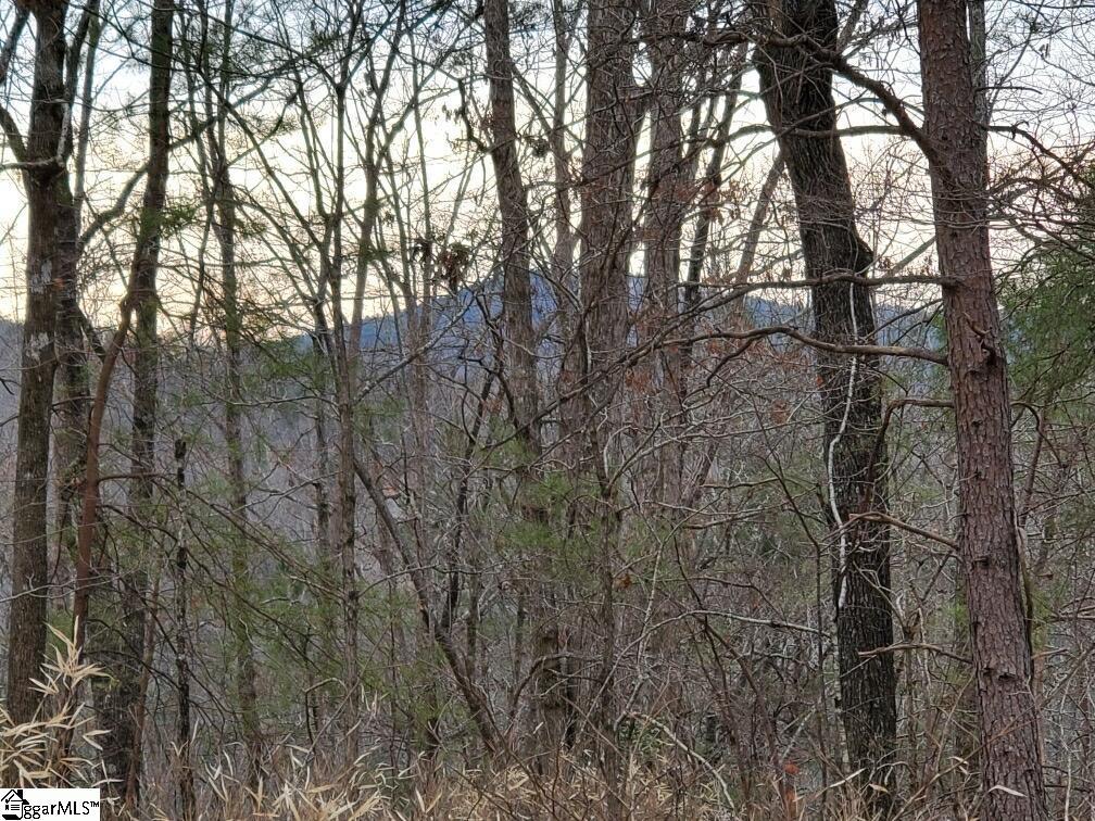 00 Emerald Crest Lane, Cleveland