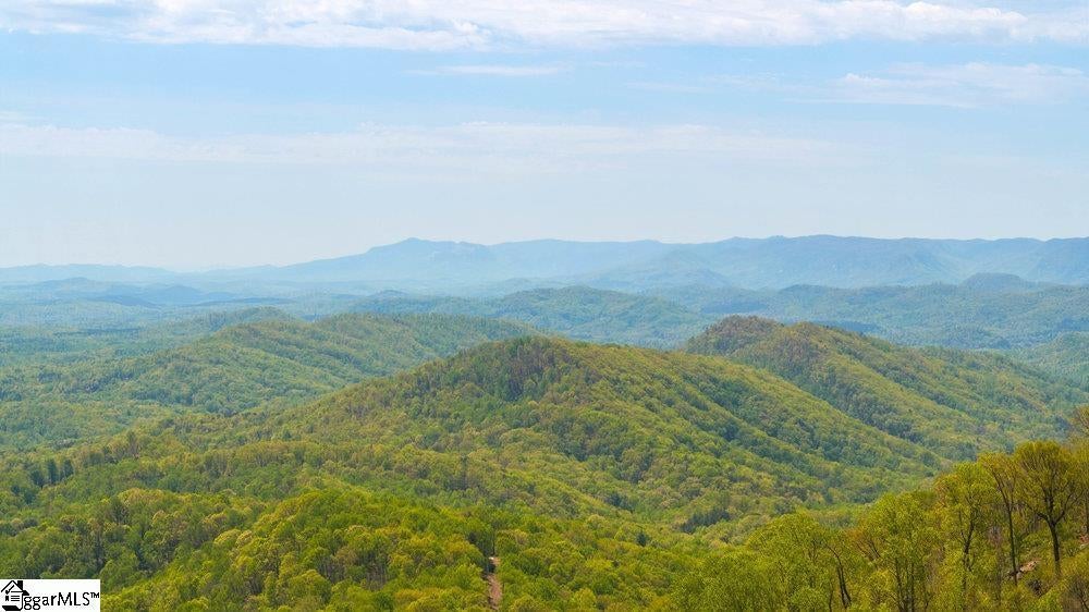 Mica Flat Drive, Landrum